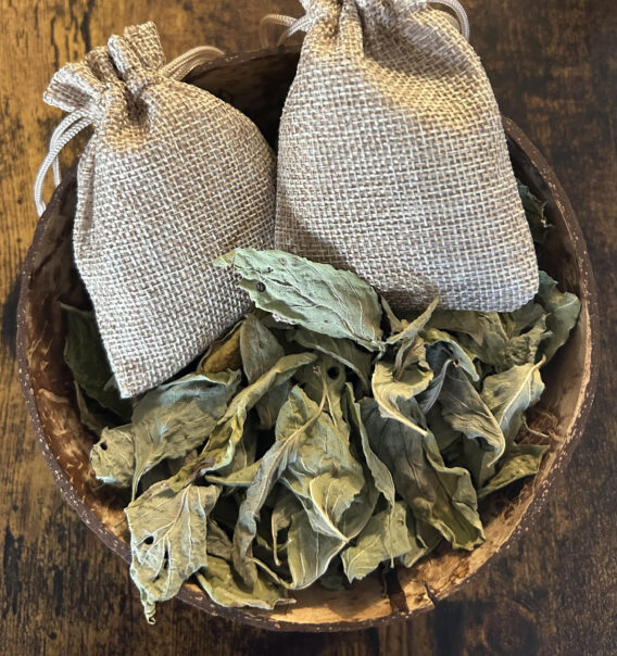 2 grammes de feuilles de basilic (Ocimum basilicum)) dans un sachet protecteur en plus de son mini sac en toile. herboristerie