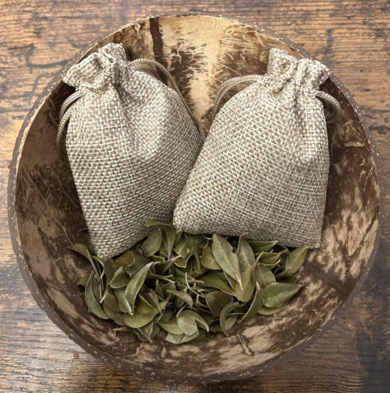 5 grammes de feuilles de busserole (Arbuslus uva-ursi) dans un sachet protecteur en plus de son mini sac en toile.Utile à la médiumnité