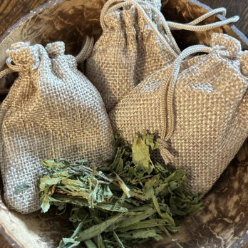 5 grammes de feuilles de stévia, les produits qui vous sont fournis sont biologiques et étiques. Contre sort et porte bonheur